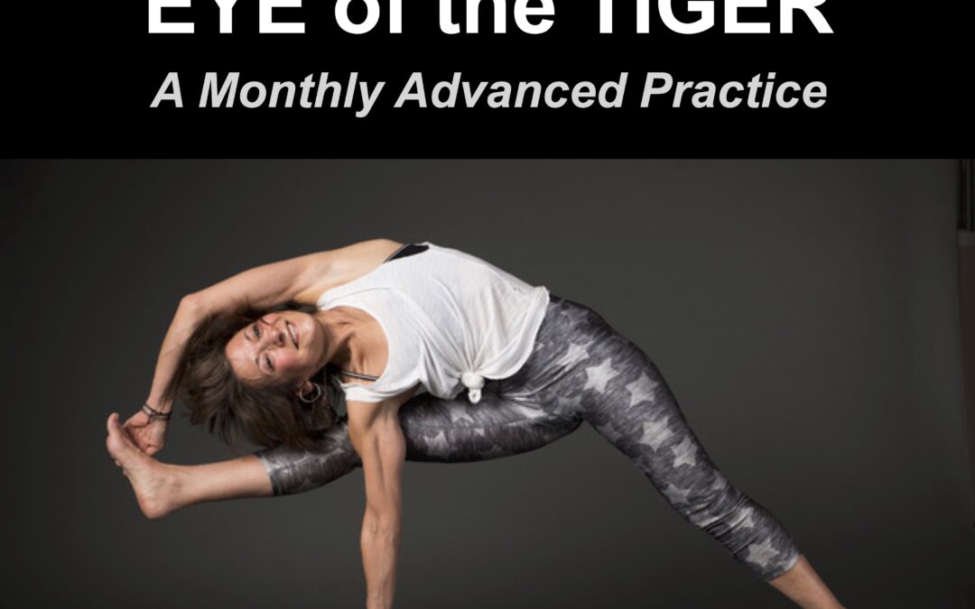 Eye of the Tiger