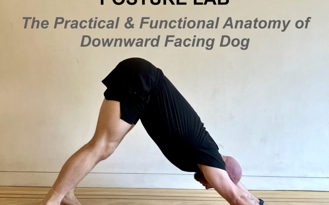 Posture Lab: The Practical & Functional Anatomy of Downward Facing Dog